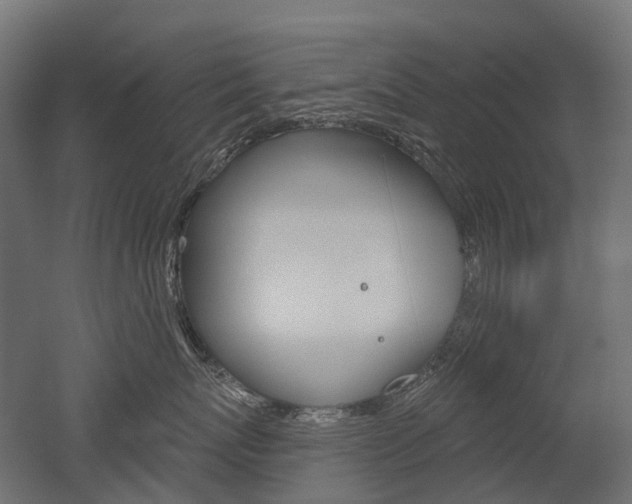X0000051860767200506241002