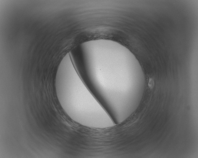 X0000051860771200506241001