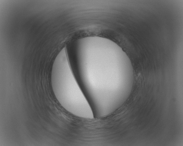X0000051860772200506241001