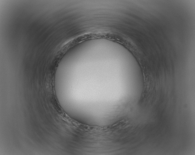 X0000051860773200506241001