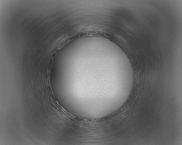 X0000051860774200506241001