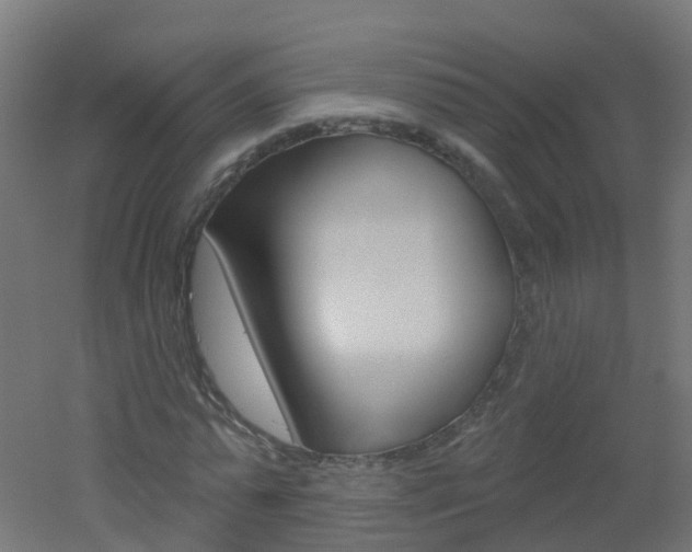 X0000051860775200506241001