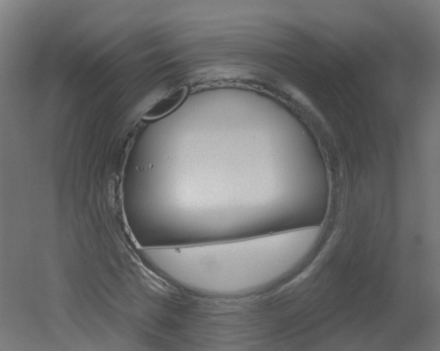 X0000051860777200506241001