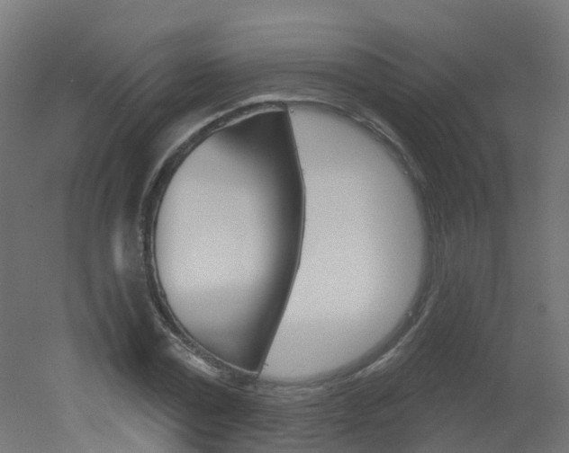X0000051860779200506241001