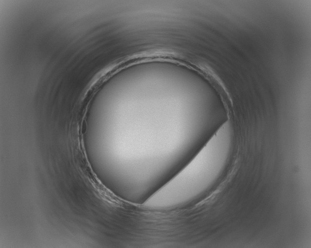 X0000051860781200506241001