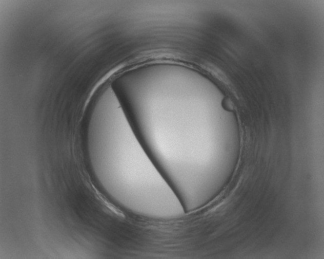X0000051860782200506241001