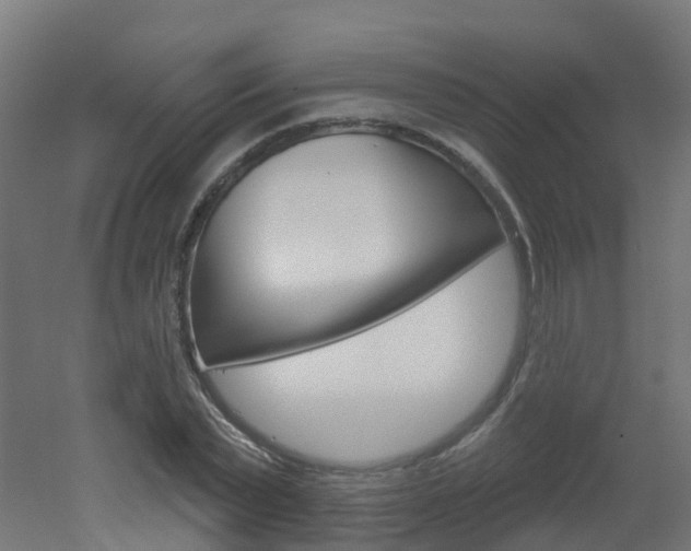 X0000051860783200506241001