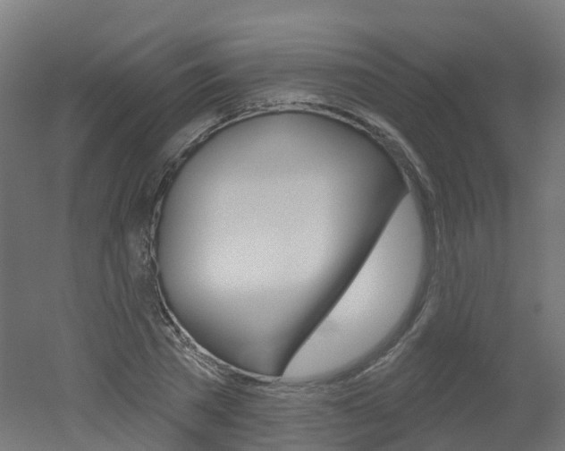 X0000051860785200506241001
