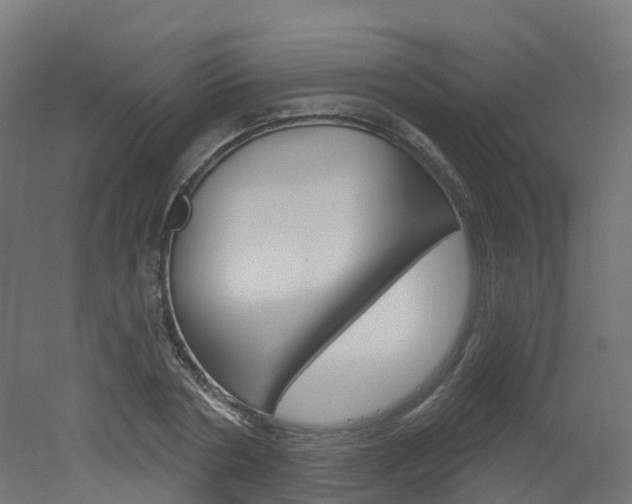 X0000051860786200506241001