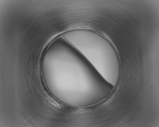 X0000051860787200506241001