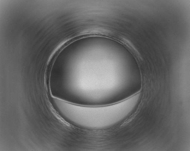 X0000051860788200506241001