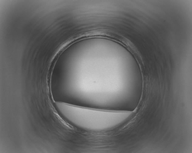 X0000051860789200506241001