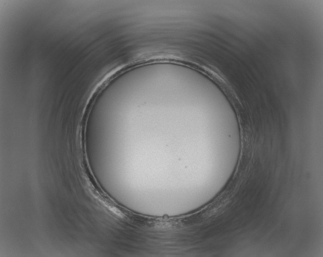 X0000051860790200506241001