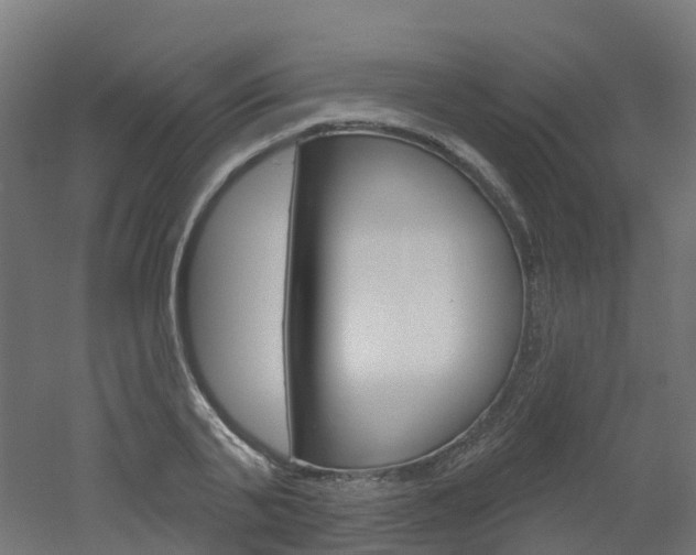 X0000051860791200506241001