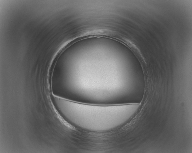 X0000051860792200506241001