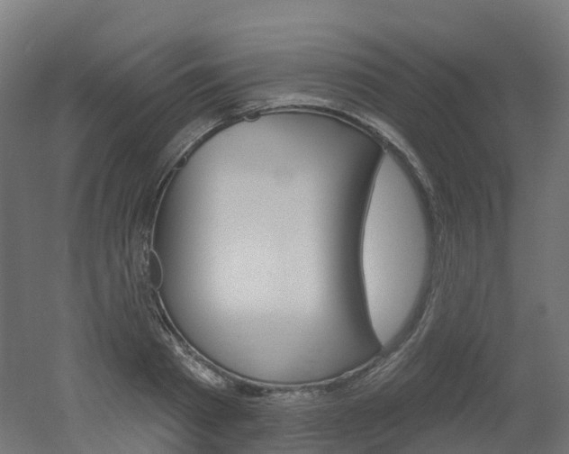 X0000051860793200506241001