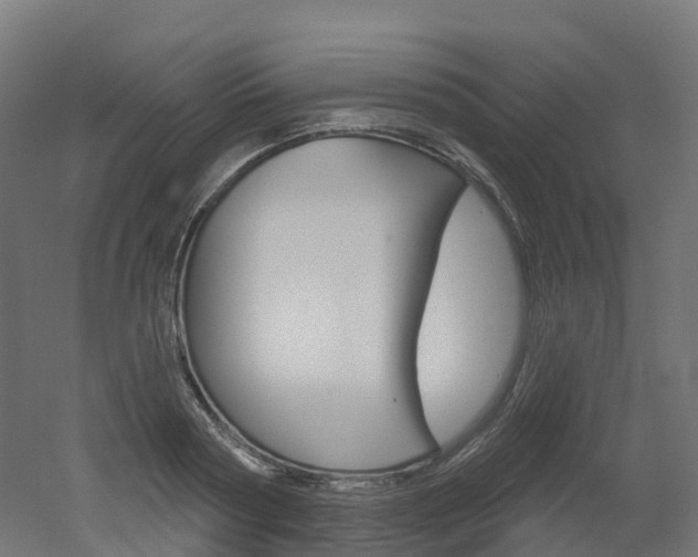 X0000051860794200506241001