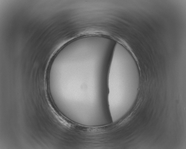 X0000051860795200506241001