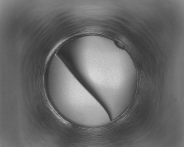 X0000051860796200506241001