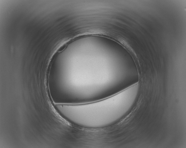 X0000051860797200506241001
