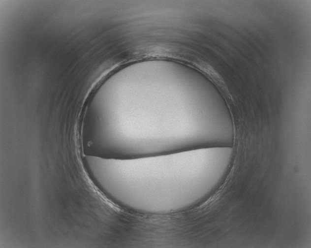 X0000051860798200506241001