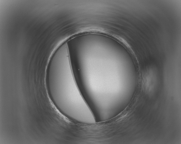 X0000051860799200506241001