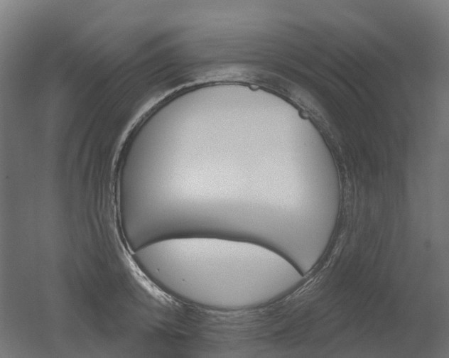 X0000051860800200506241001