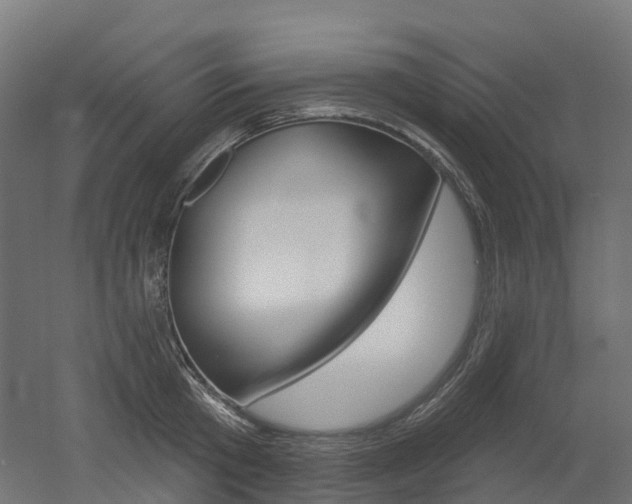 X0000051860801200506241001