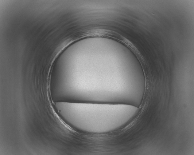 X0000051860802200506241001
