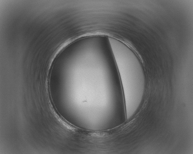 X0000051860805200506241001