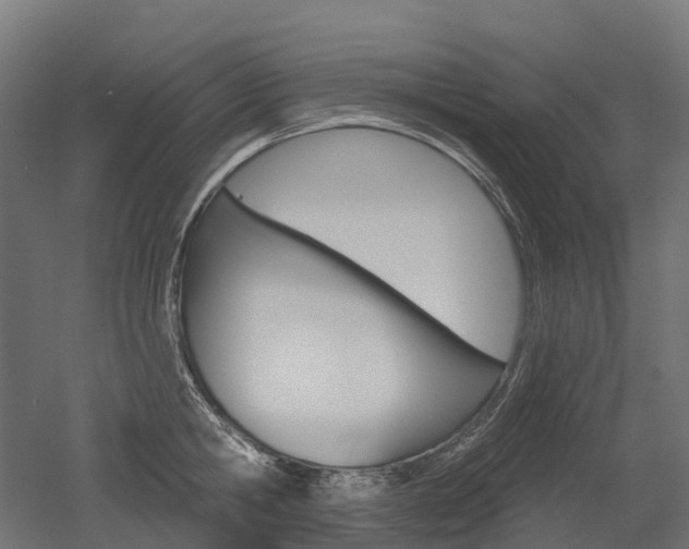 X0000051860806200506241001