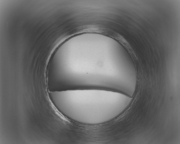 X0000051860808200506241001