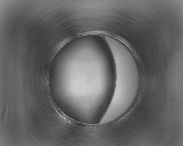 X0000051860809200506241001