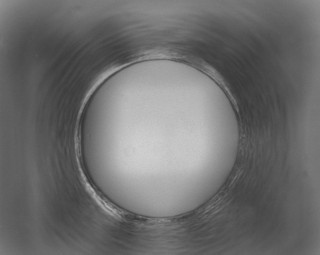 X0000051860811200506241000
