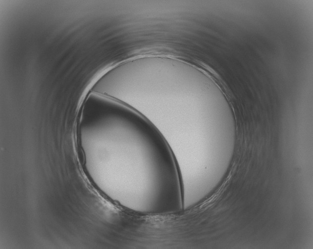 X0000051860812200506241000