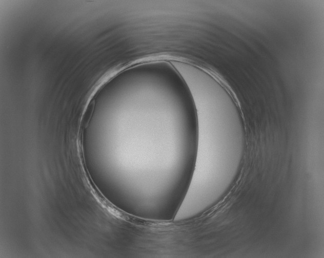 X0000051860813200506241000