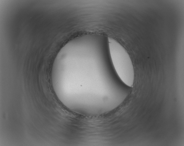 X0000051860817200506241000