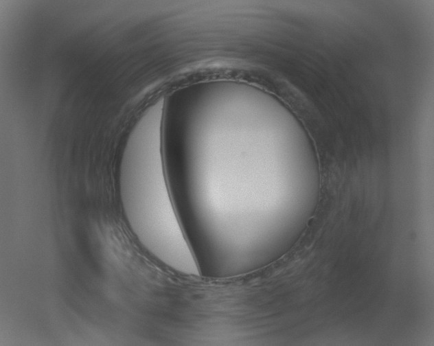 X0000051860821200506241000