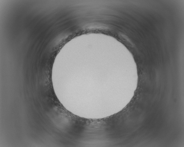 X0000051860824200506241000