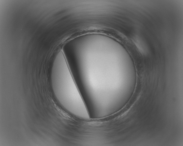 X0000051860825200506241000
