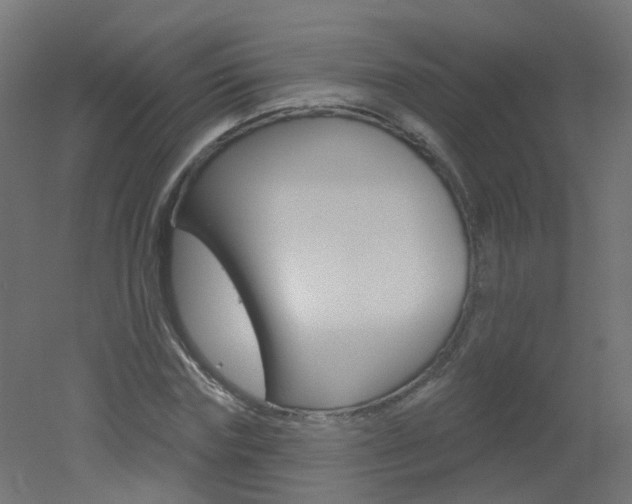 X0000051860827200506241000