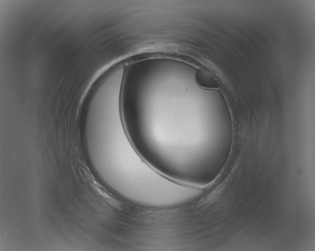 X0000051860830200506241000