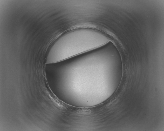 X0000051860833200506241000