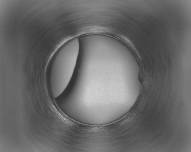 X0000051860835200506241000