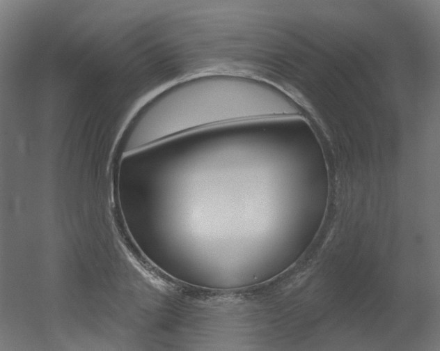 X0000051860838200506241000