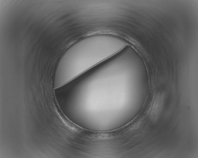 X0000051860841200506241000