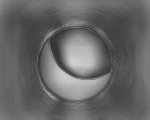 X0000051860842200506241000