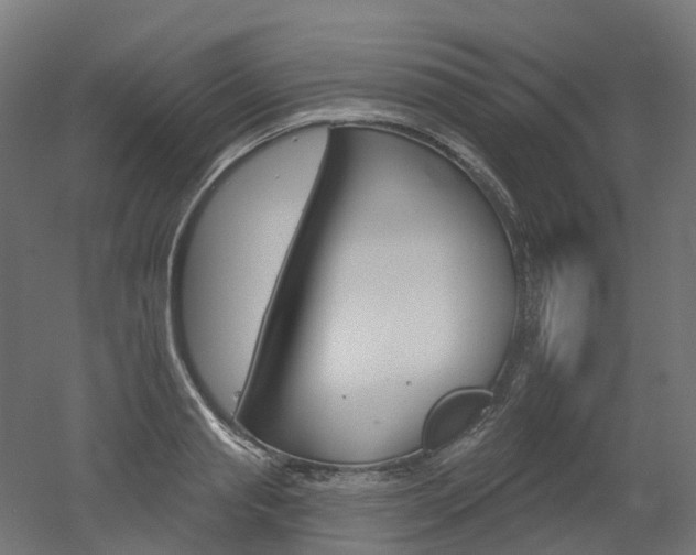 X0000051860845200506241000