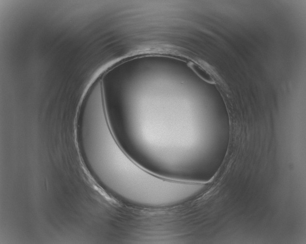 X0000051860846200506241000