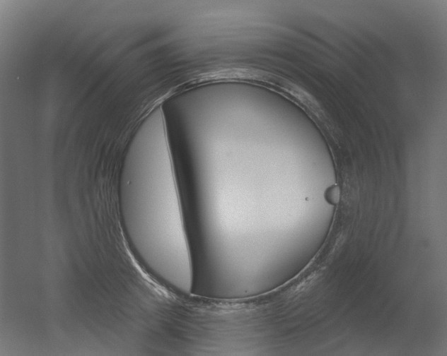 X0000051860849200506241000